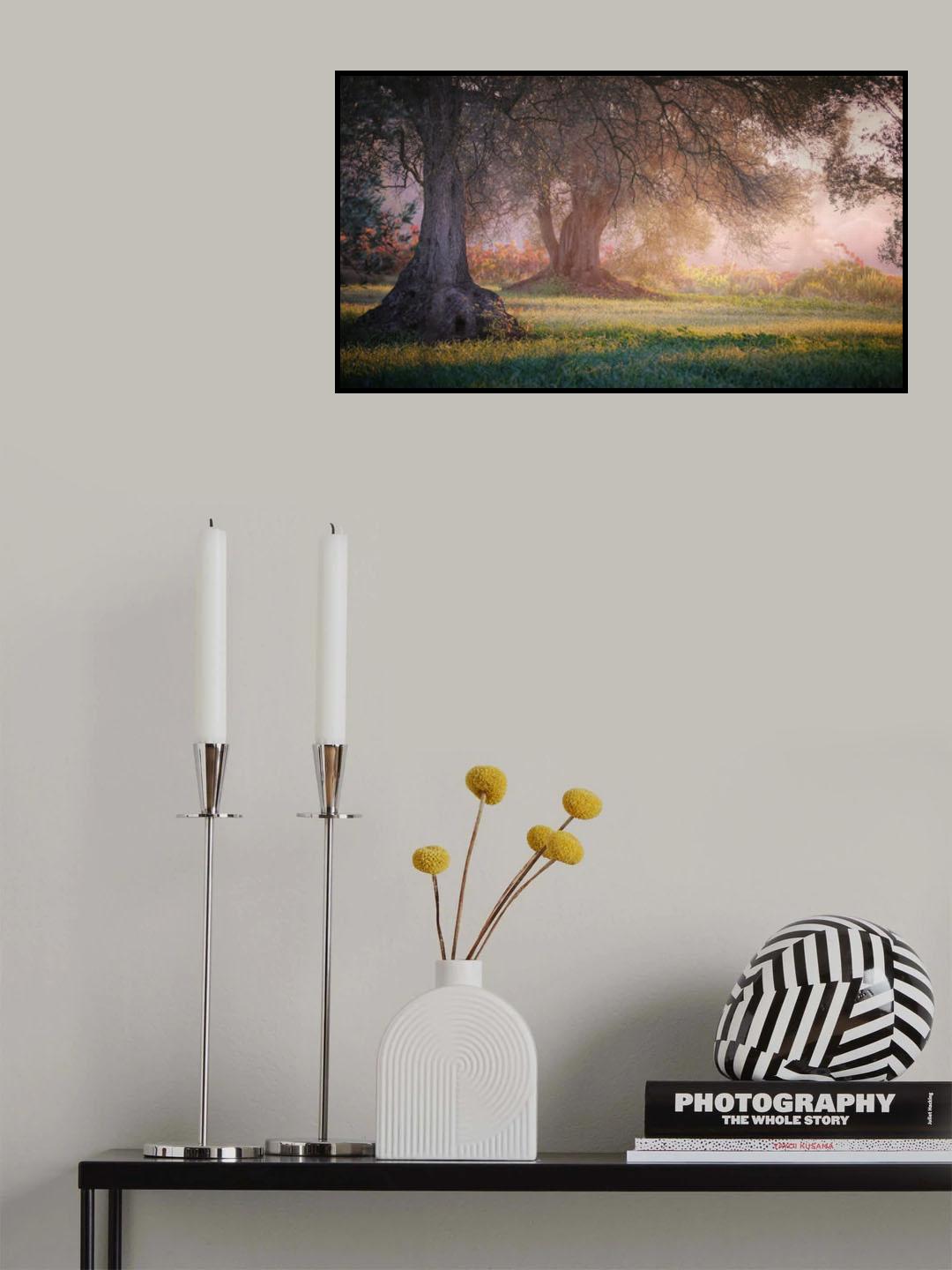 Autumn in Catalonia Poster och Canvastavla