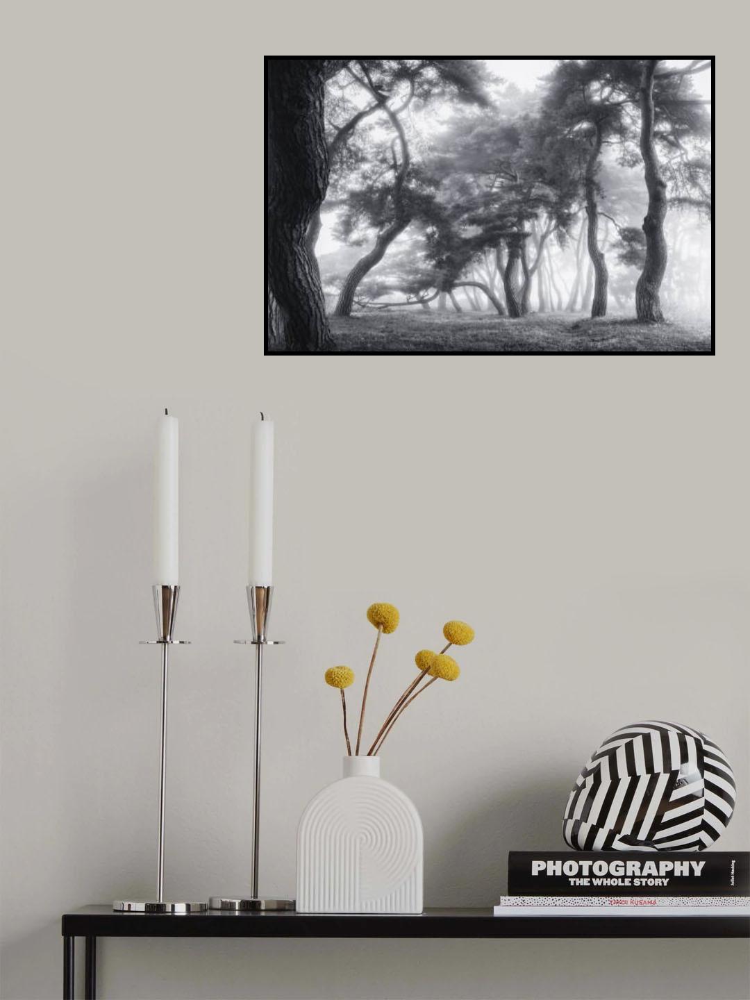 Dancing Trees Poster och Canvastavla