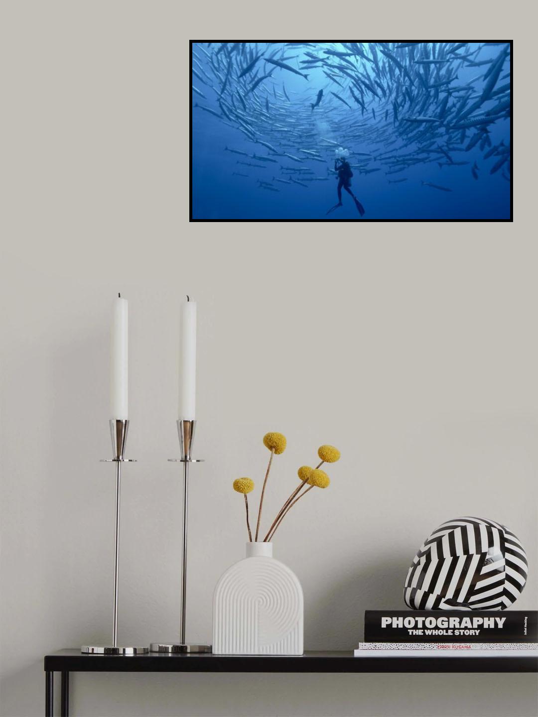 Into the school Poster och Canvastavla
