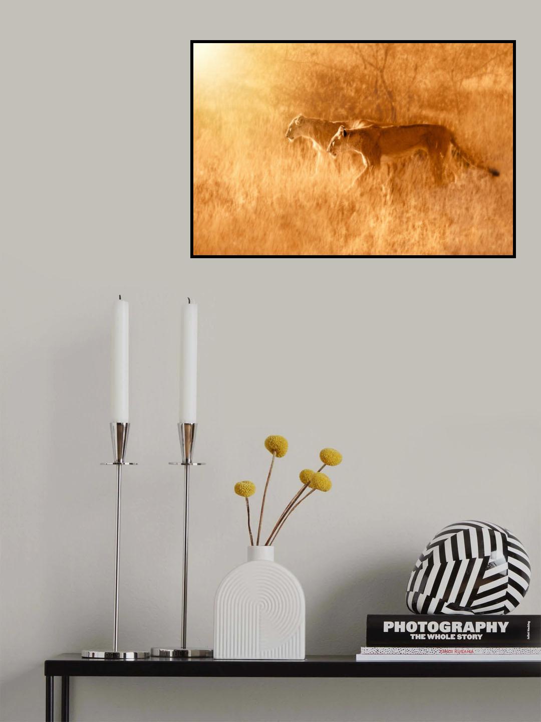 Morning Walk Poster och Canvastavla