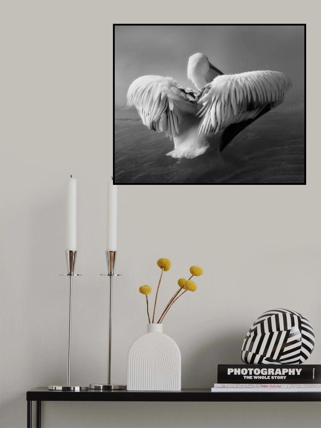 The Pelican Poster och Canvastavla