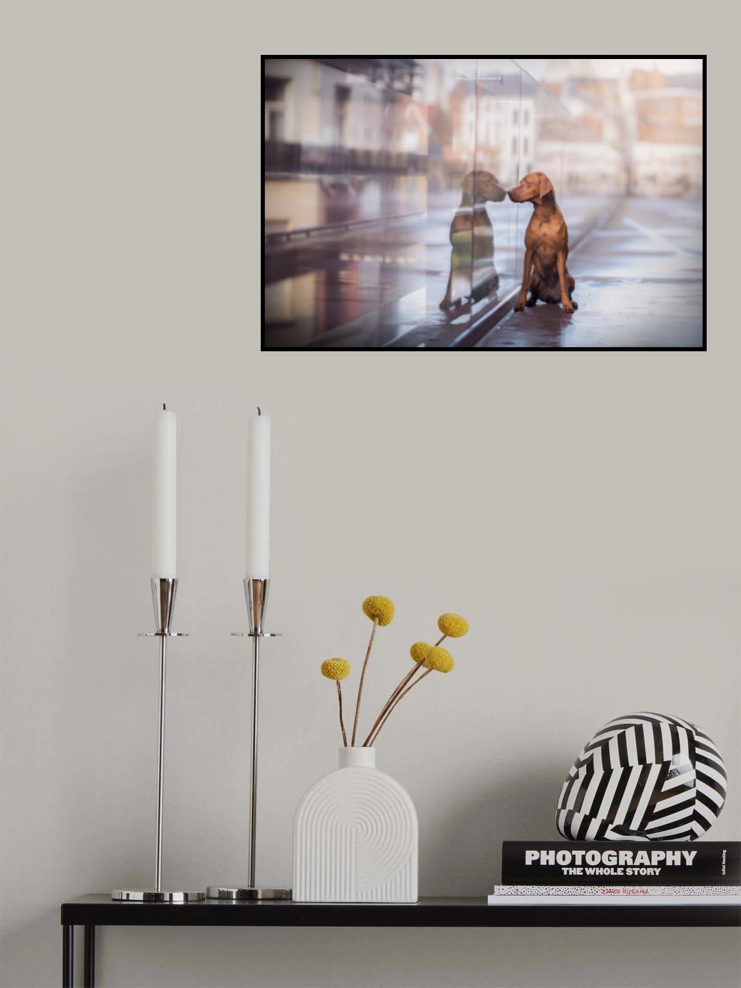 Havannah in the city Poster och Canvastavla