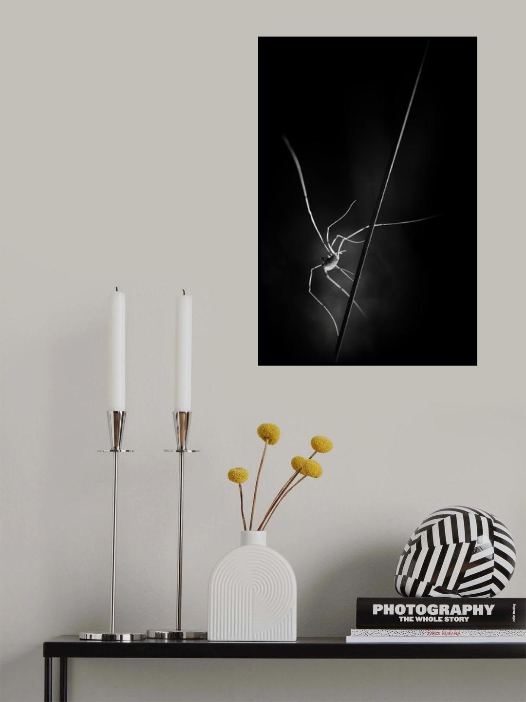 ...snatcher of light... Poster och Canvastavla