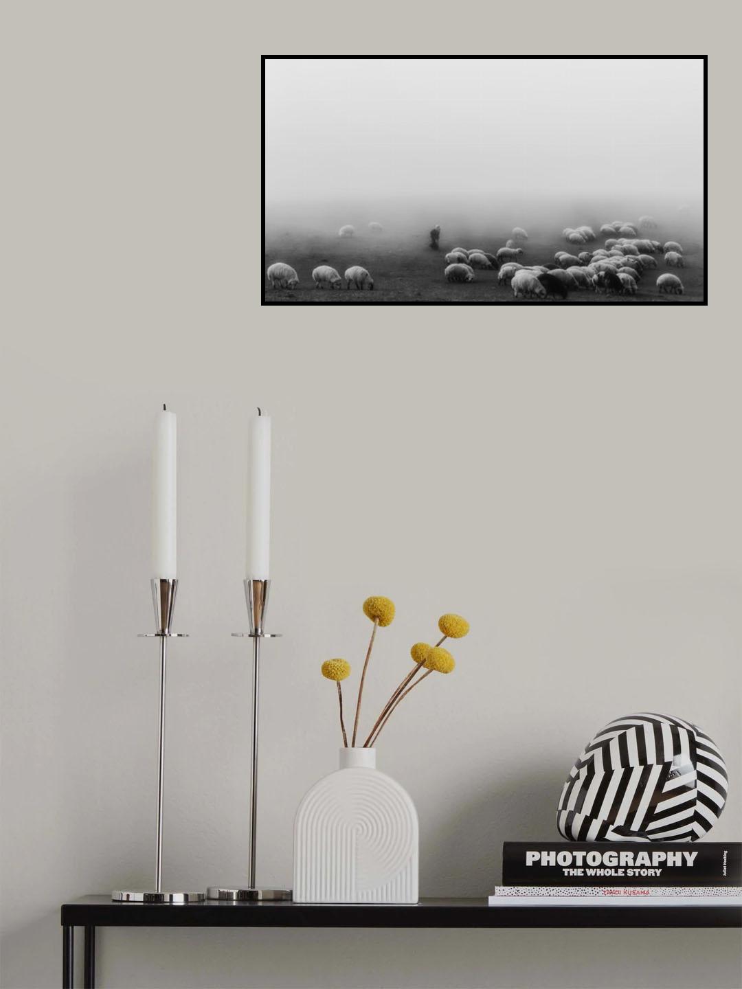 Shepherd's old woman Poster och Canvastavla