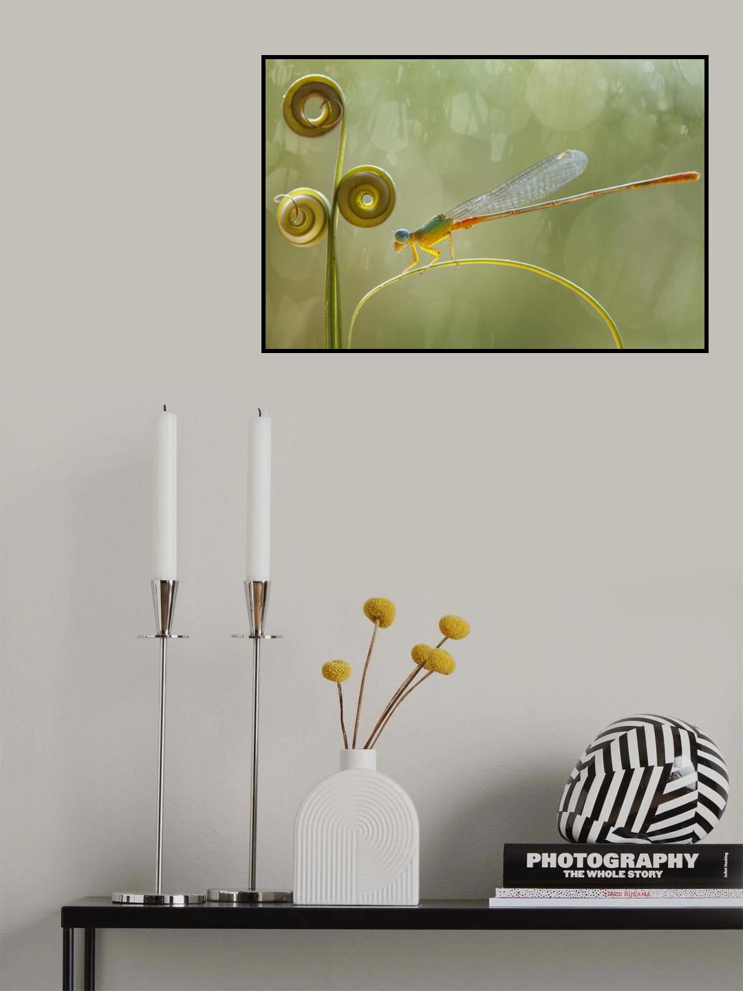 Capung Jarum dan Ujung Daun Poster och Canvastavla
