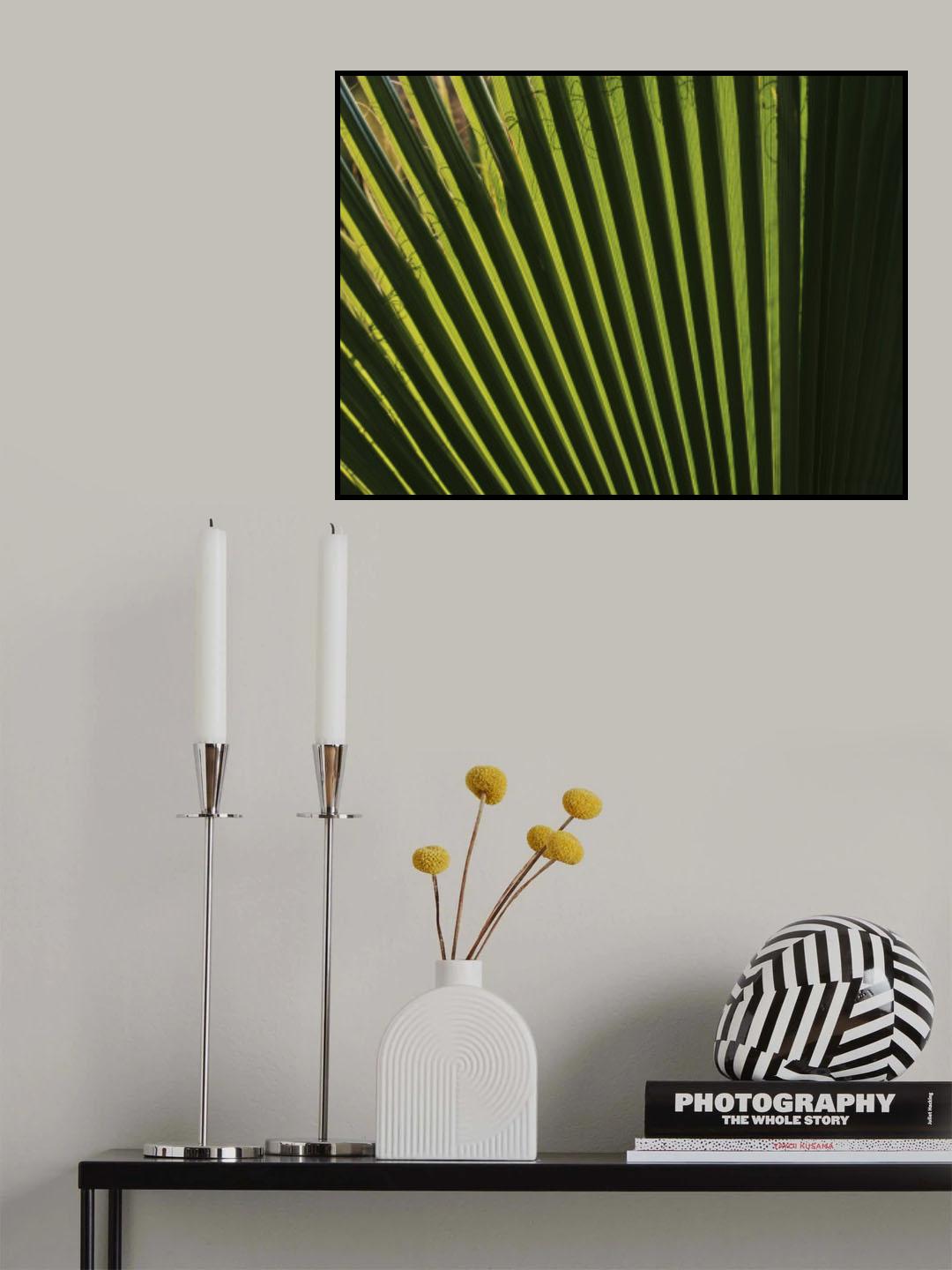 palm leaf Poster och Canvastavla