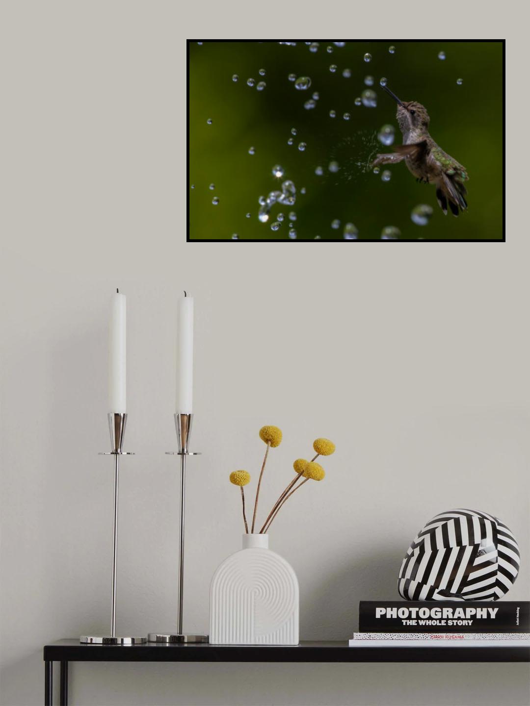 Water playing Poster och Canvastavla