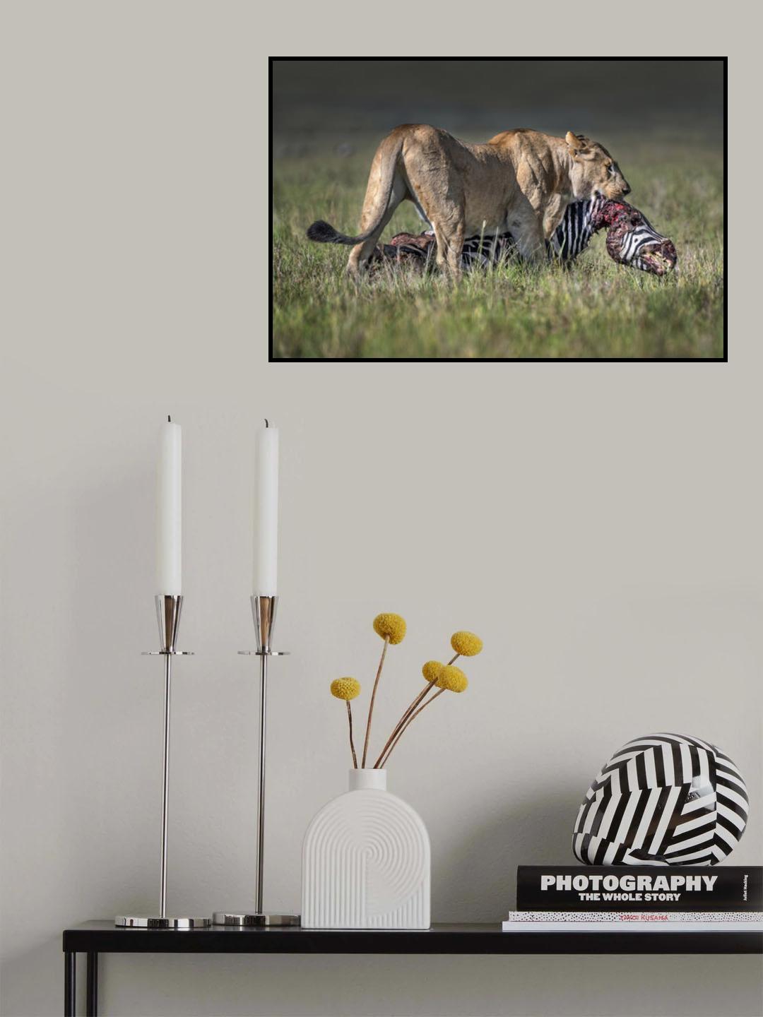 Lioness with prey Poster och Canvastavla
