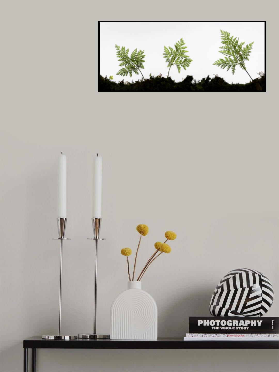 Fern Detail Poster och Canvastavla