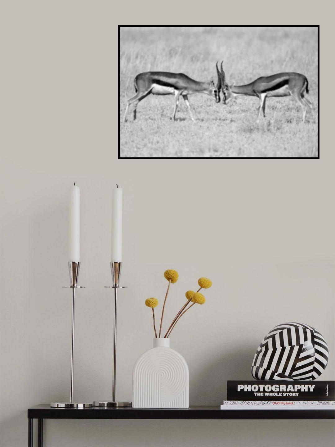Face to face Poster och Canvastavla