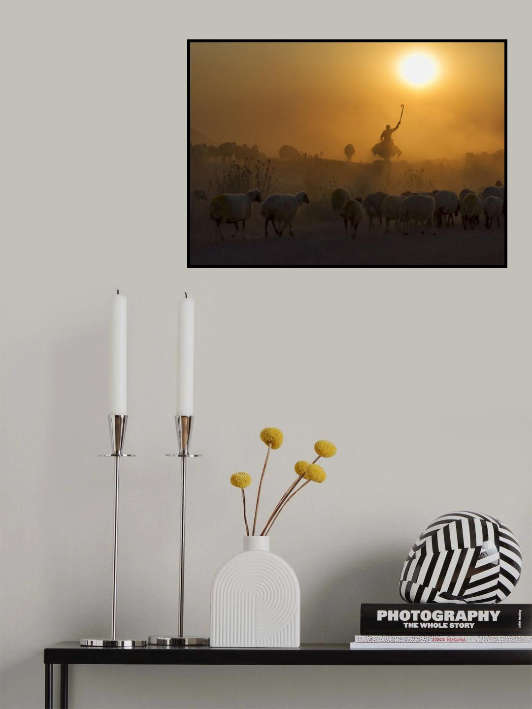 shepherd Poster och Canvastavla