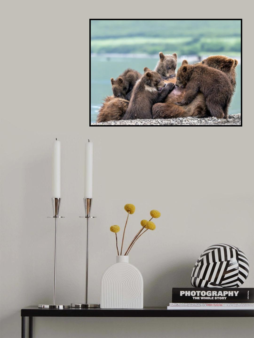 Poster och Canvastavla