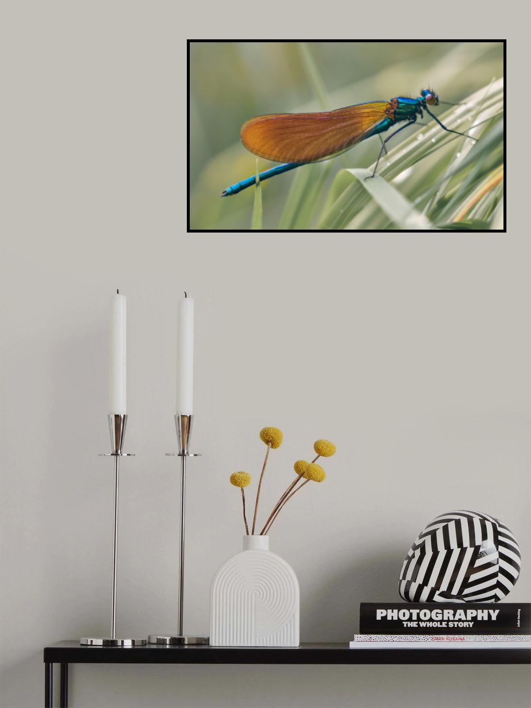 Damsel Poster och Canvastavla