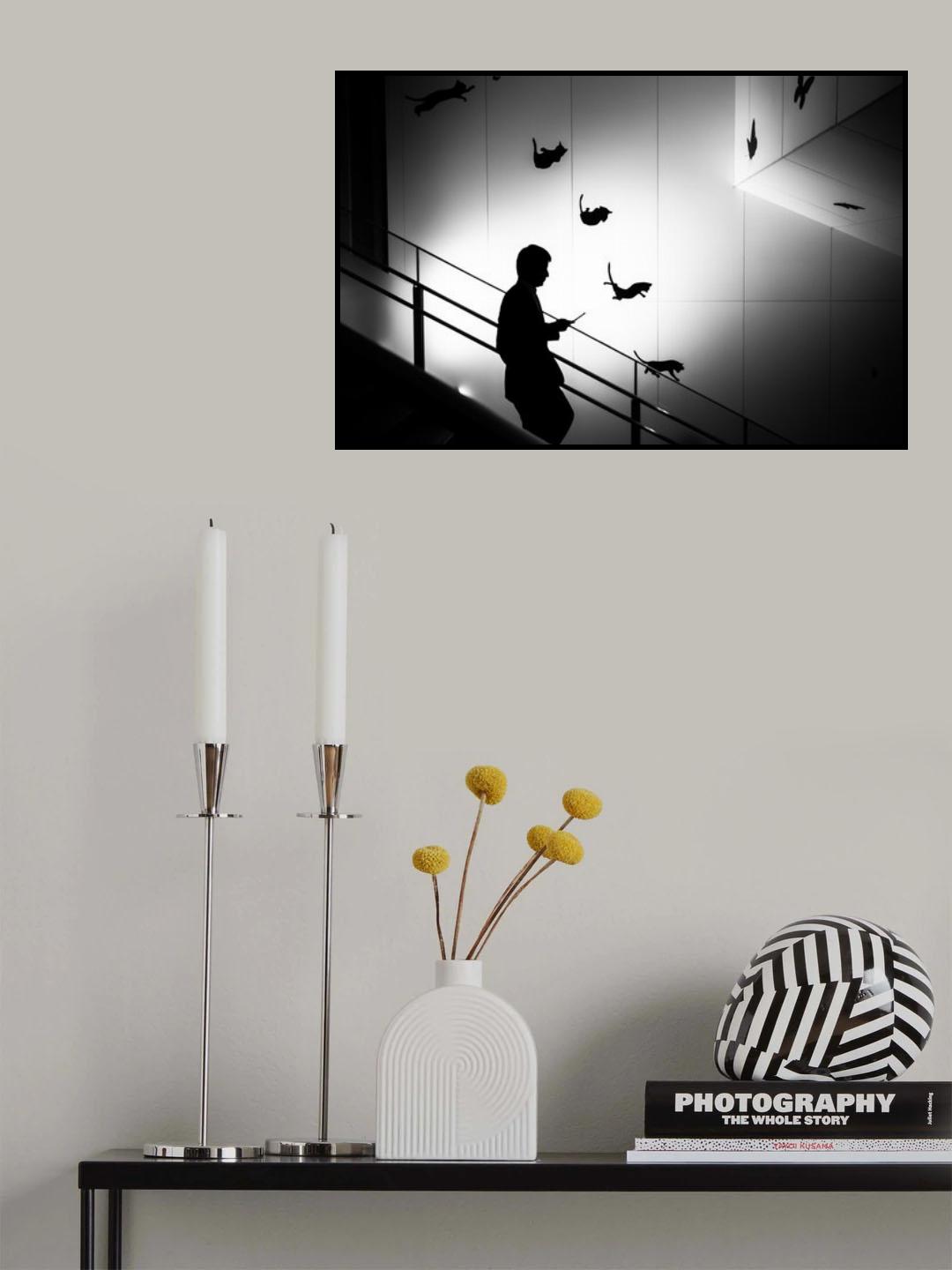 Falling cats Poster och Canvastavla