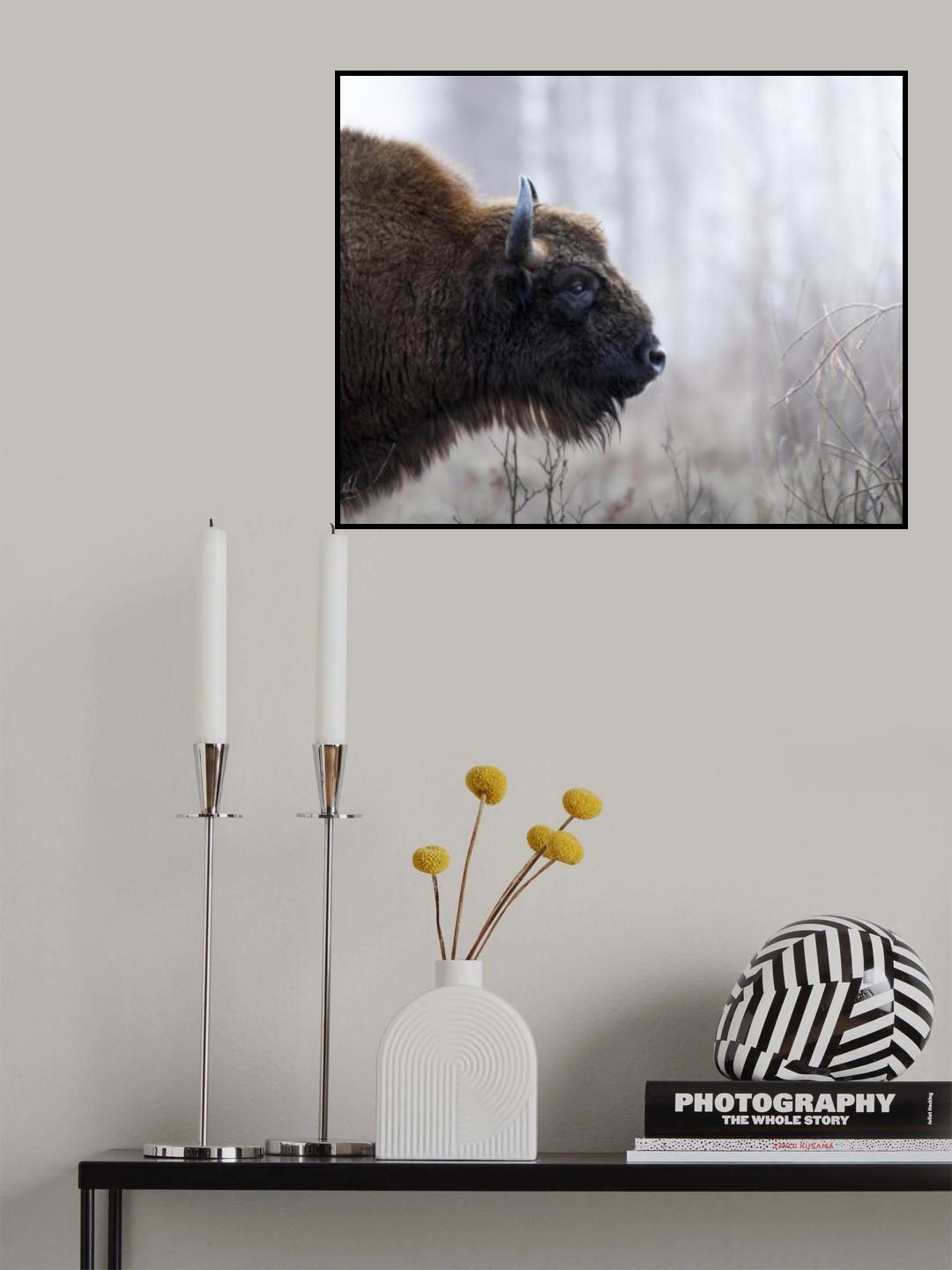 Bison's profile Poster och Canvastavla