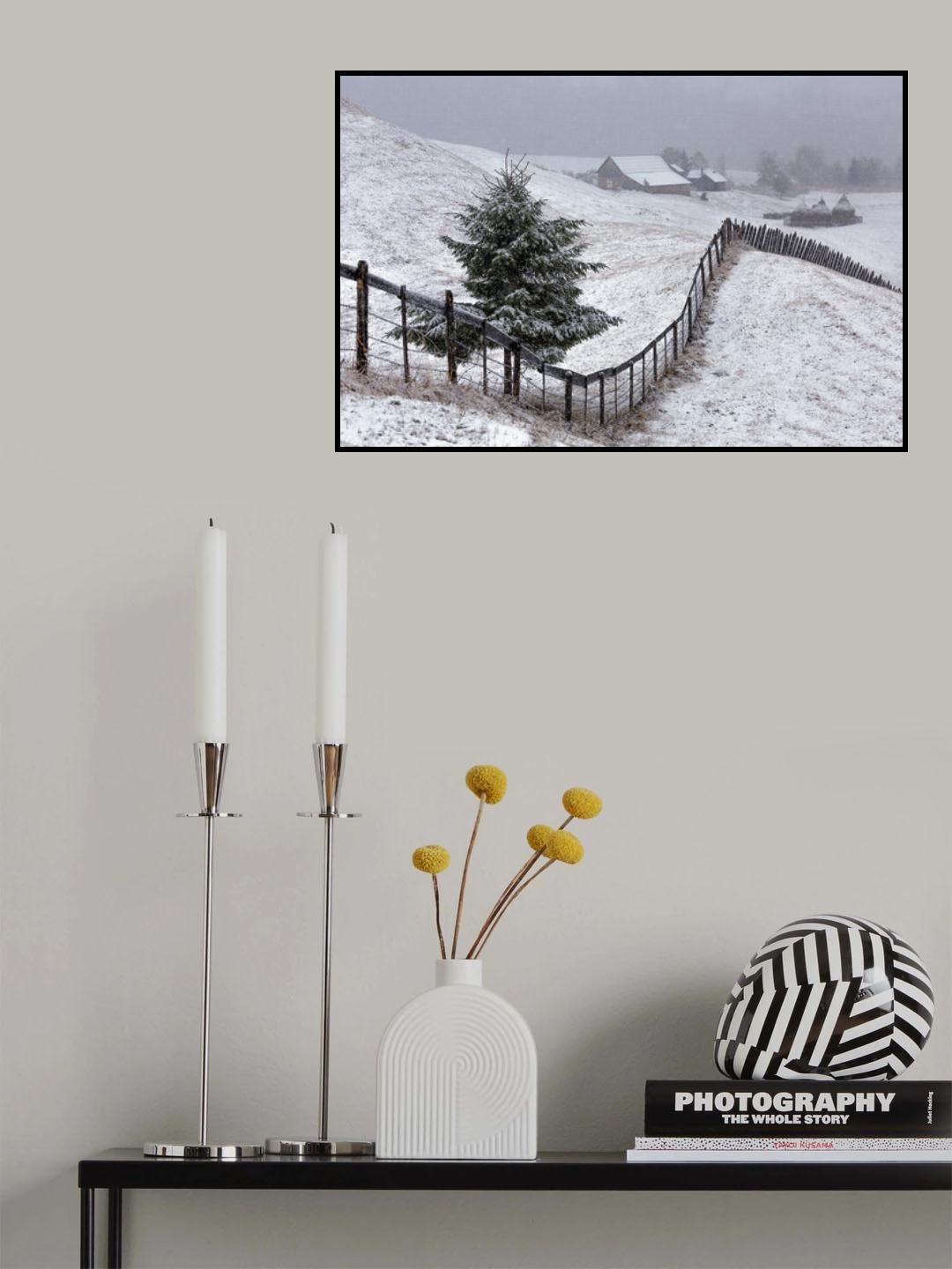 Already Winter in Bucovina Poster och Canvastavla