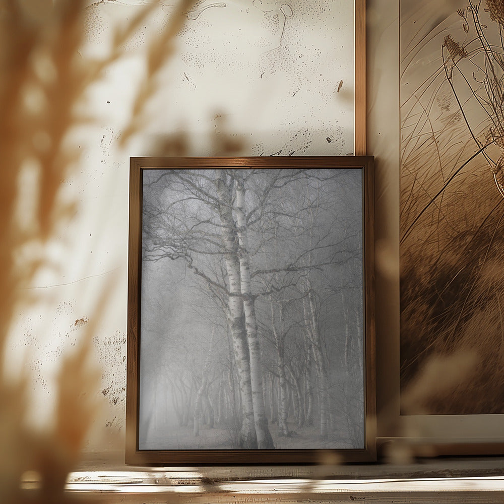 Misty tree Poster och Canvastavla