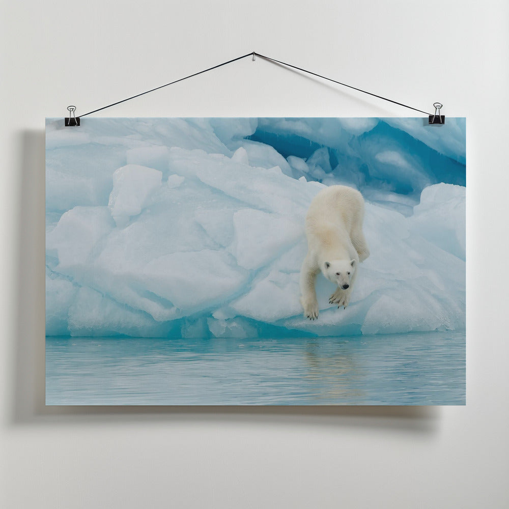 On the edge Poster och Canvastavla