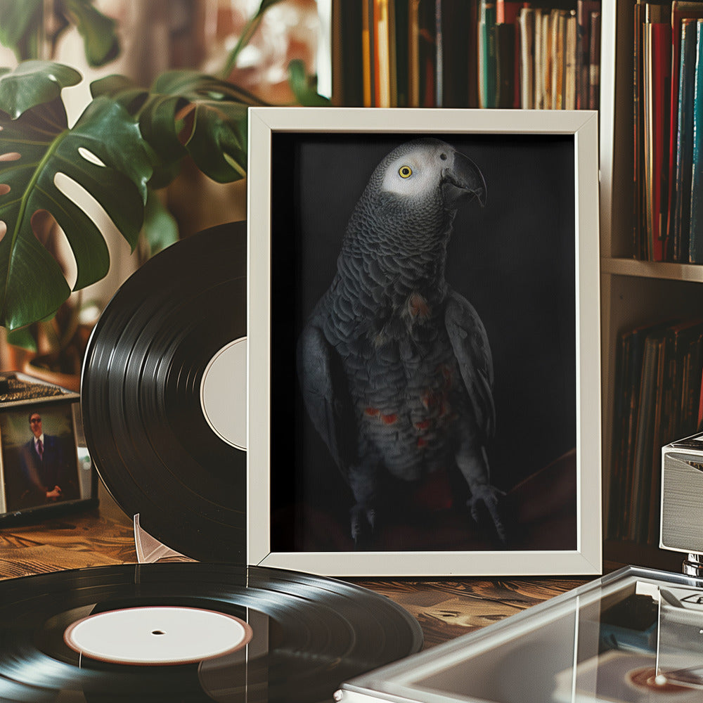 Portrait of Cornelia Poster och Canvastavla