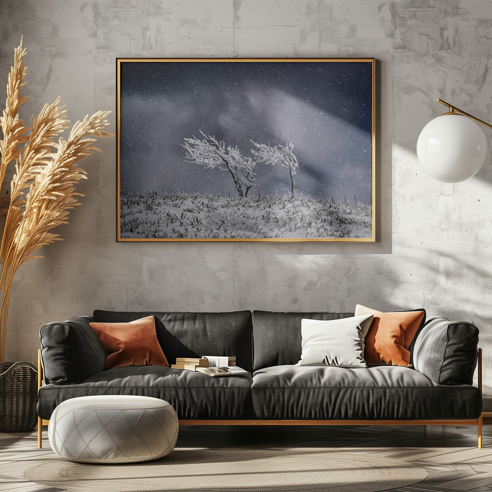 Covered in SNOW. Poster och Canvastavla