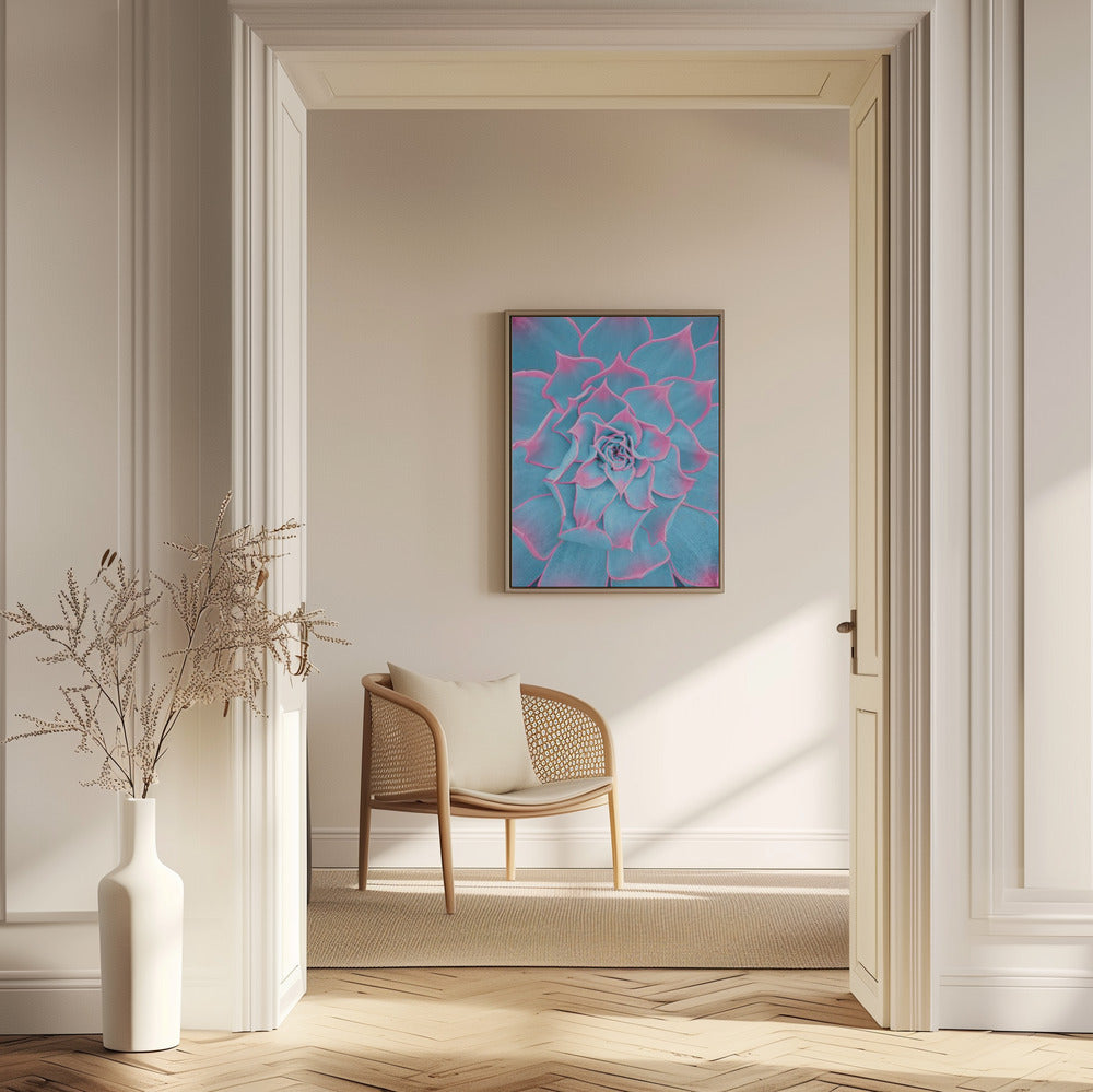 Blue and Pink Succulent Poster och Canvastavla