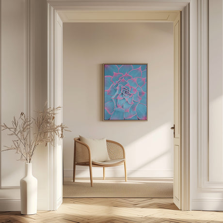 Blue and Pink Succulent Poster och Canvastavla