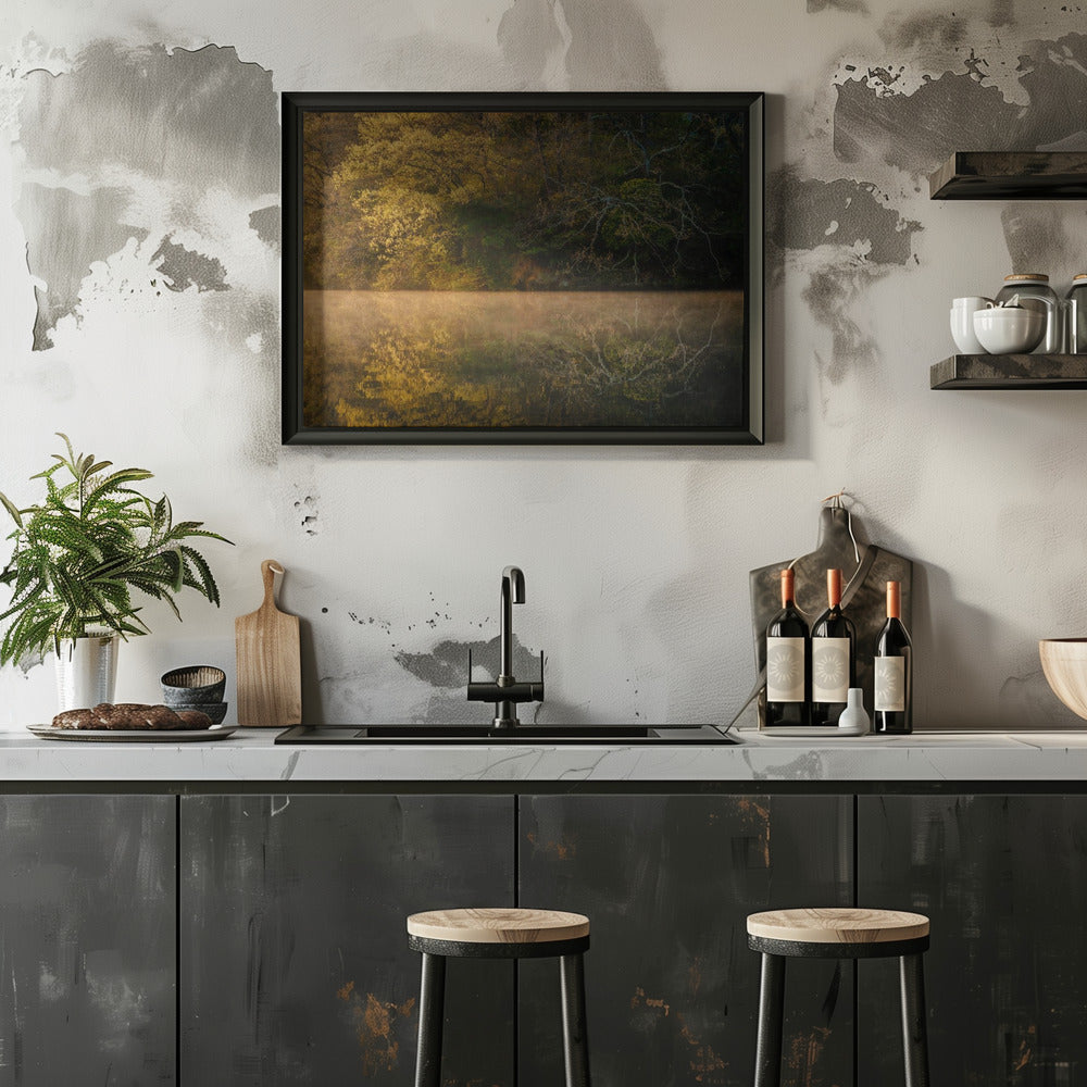 Morning Pond Poster och Canvastavla