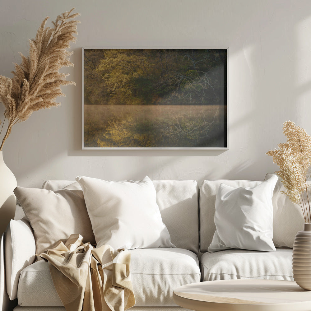 Morning Pond Poster och Canvastavla