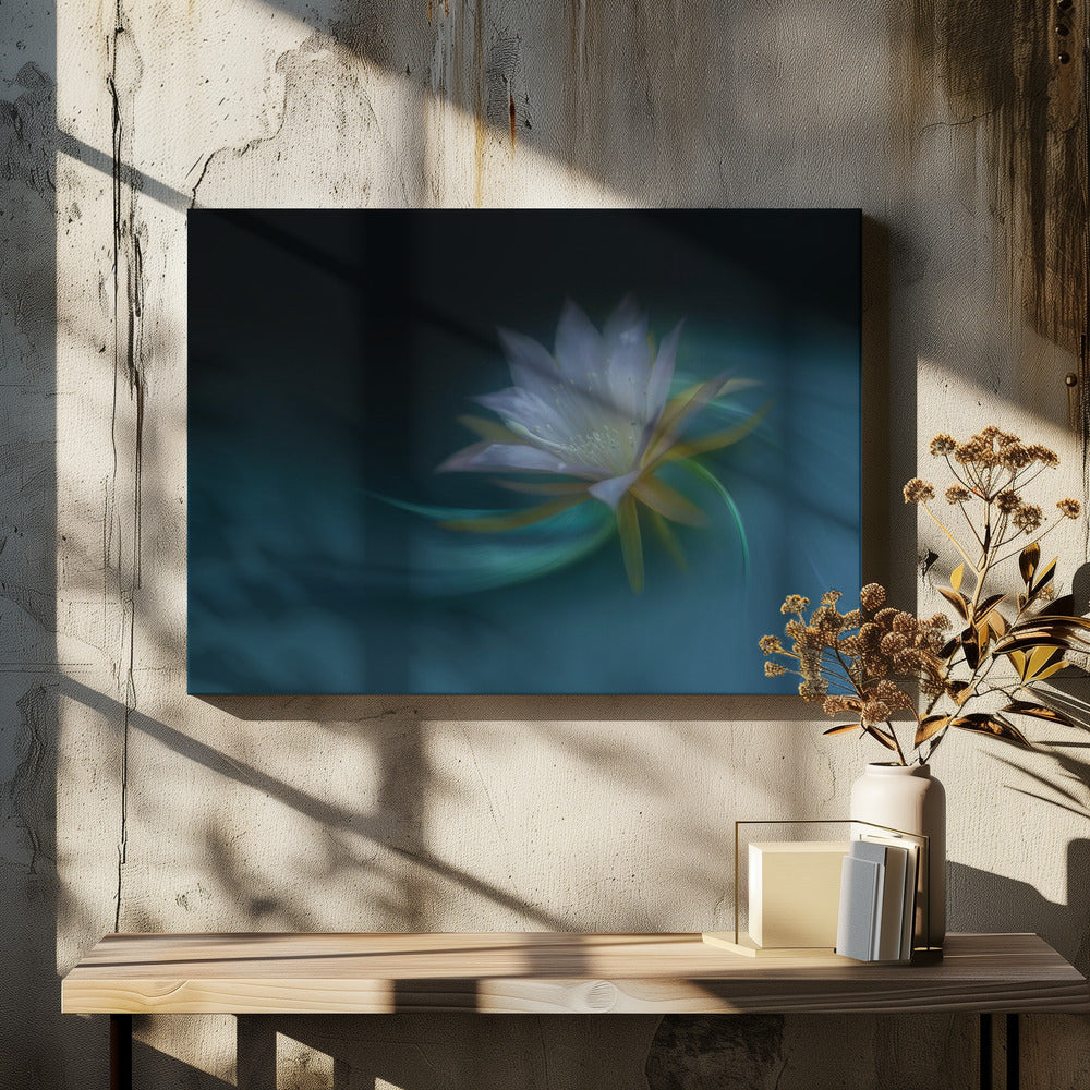 Orchid cactus Poster och Canvastavla