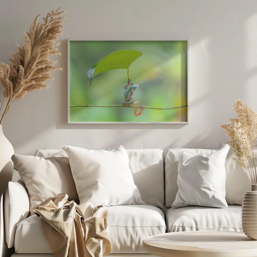Green frog Poster och Canvastavla