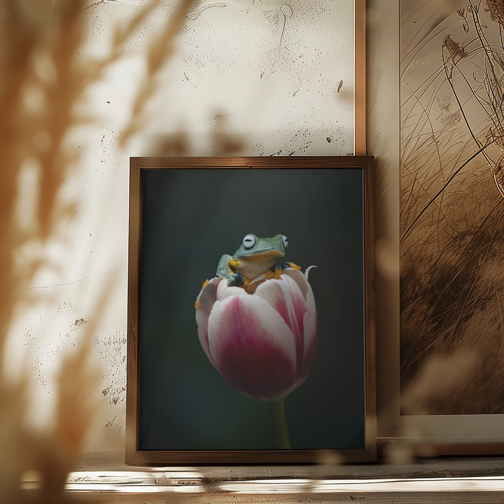 Cute Flying Frog Poster och Canvastavla
