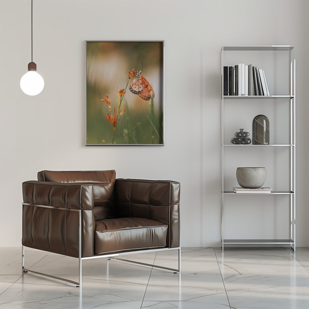 Butterfly Poster och Canvastavla