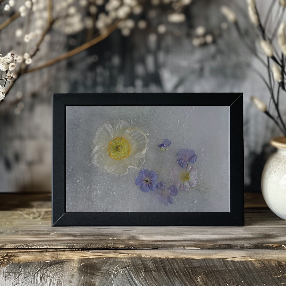 Poppy and other flowers. Poster och Canvastavla