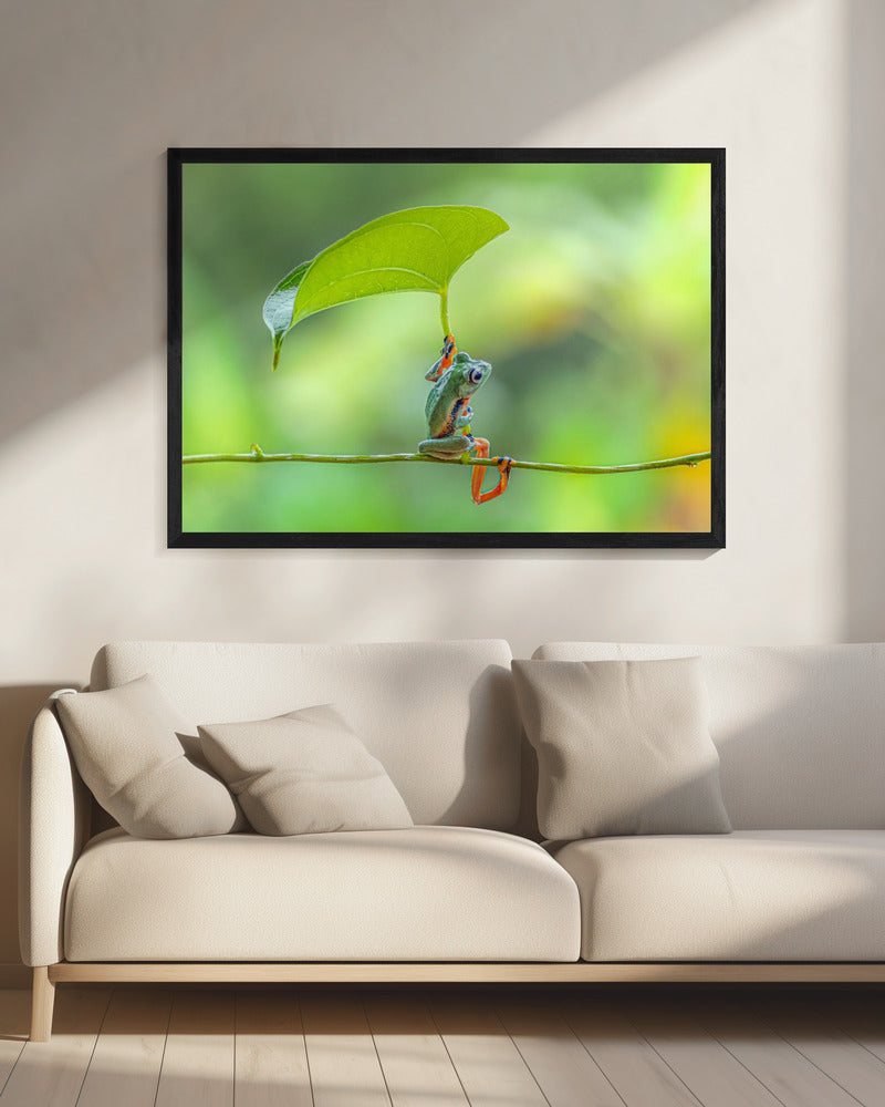 Green frog Poster och Canvastavla