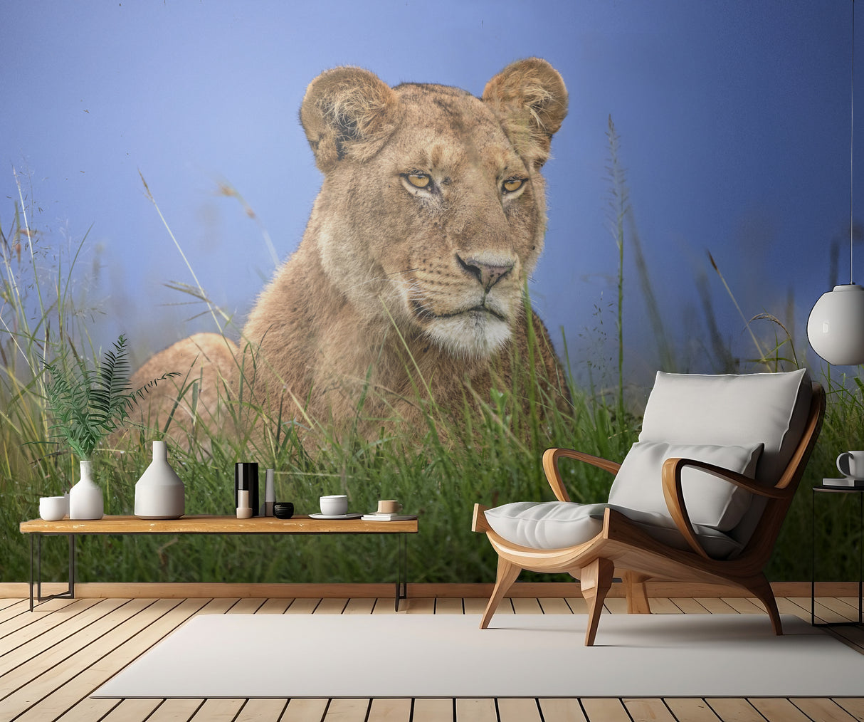 Lioness Close Up Poster och Canvastavla