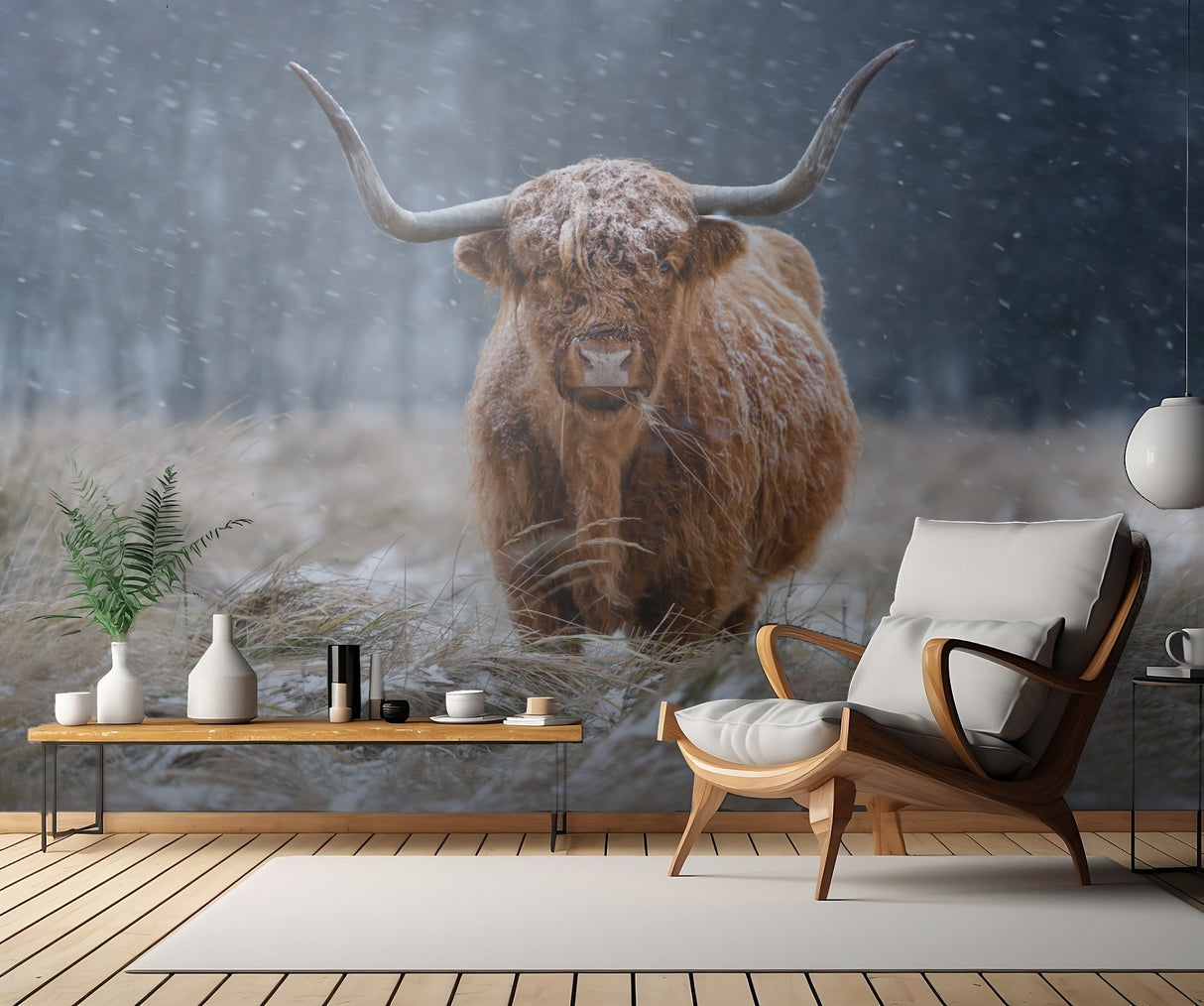 Snowy Highland cow Poster och Canvastavla