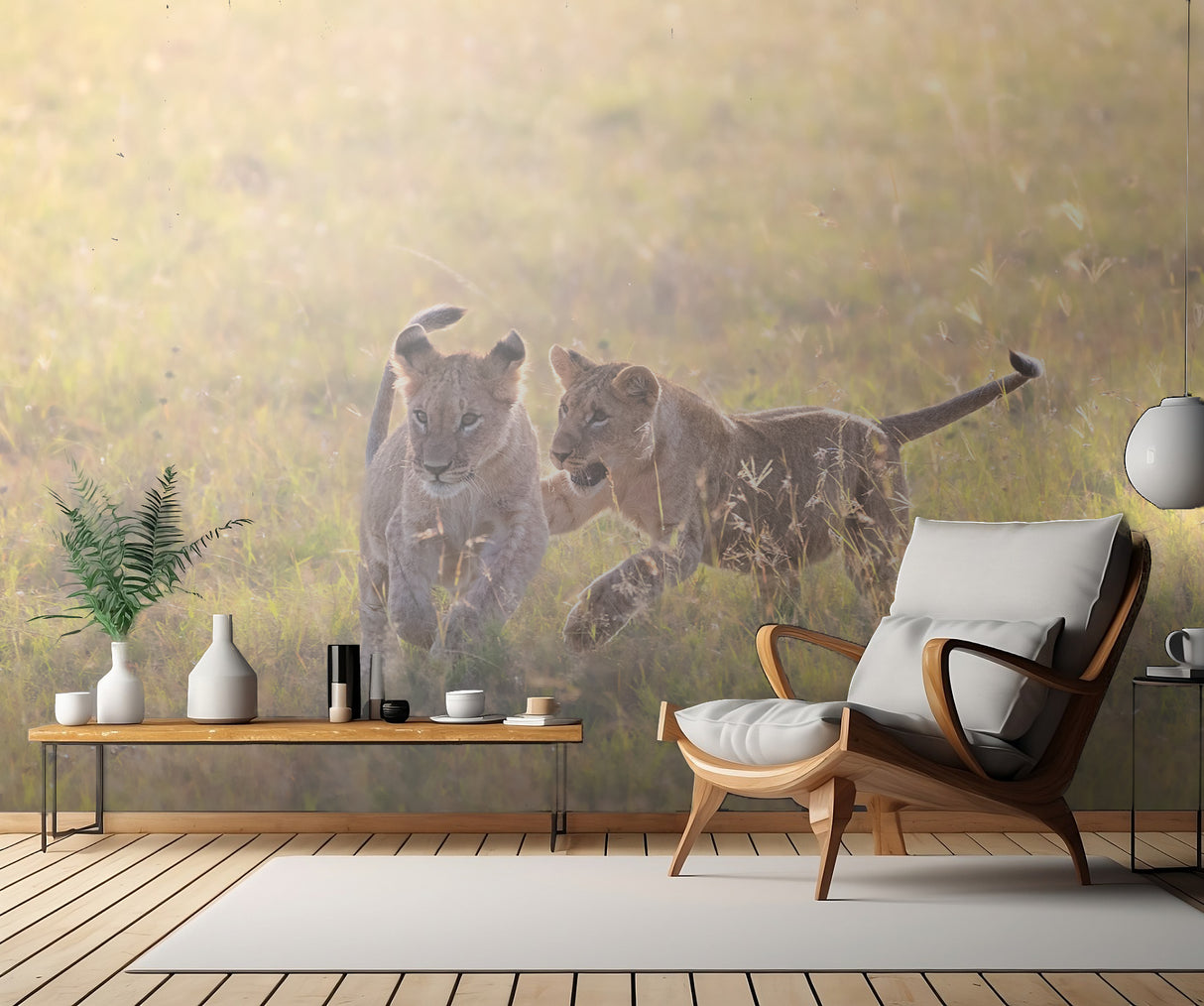 Playful cubs Poster och Canvastavla