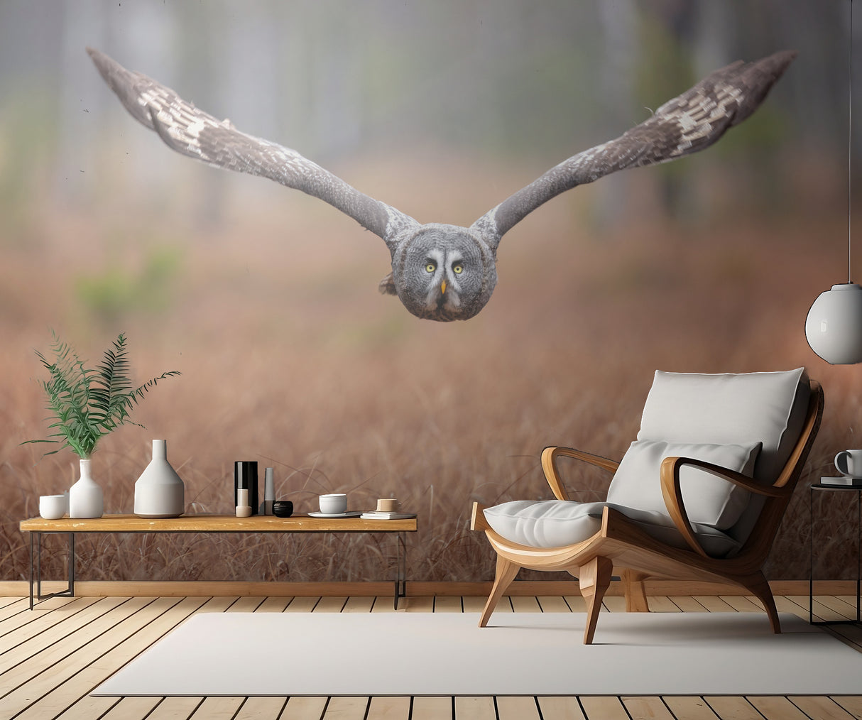 Great grey owl Poster och Canvastavla