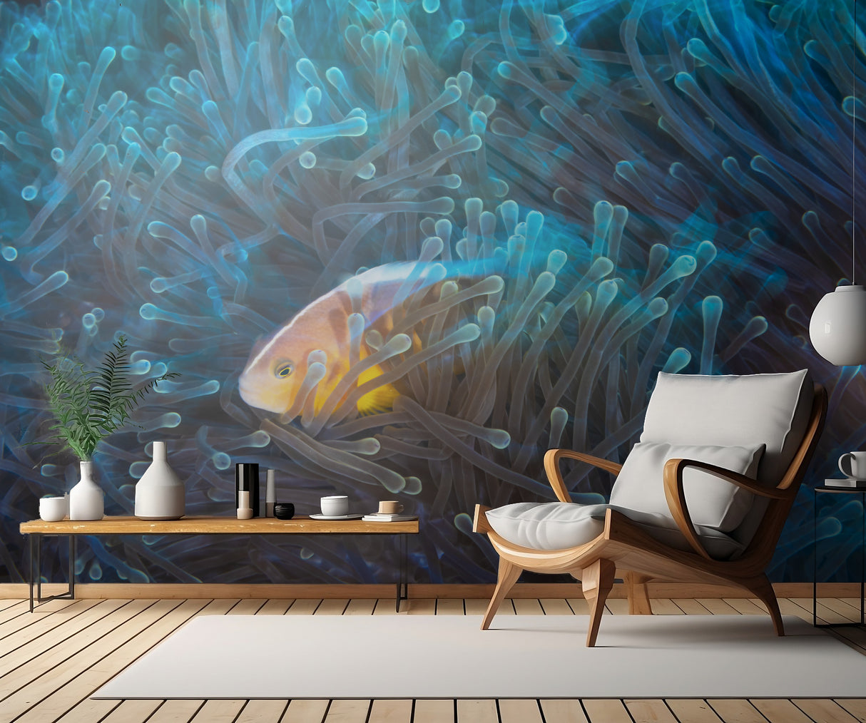Skunk clownfish Poster och Canvastavla