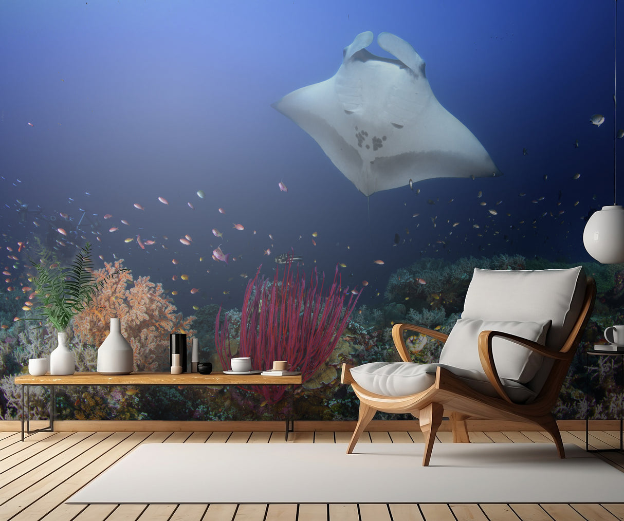Ocean Manta Ray on the reef Poster och Canvastavla
