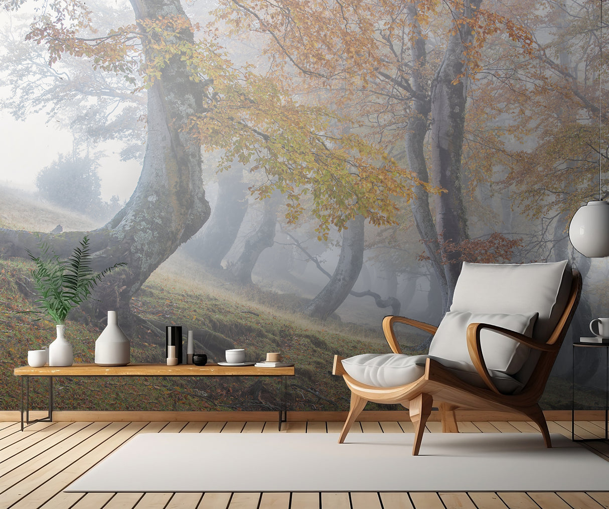 Twisted beeches in Laga mountains Poster och Canvastavla