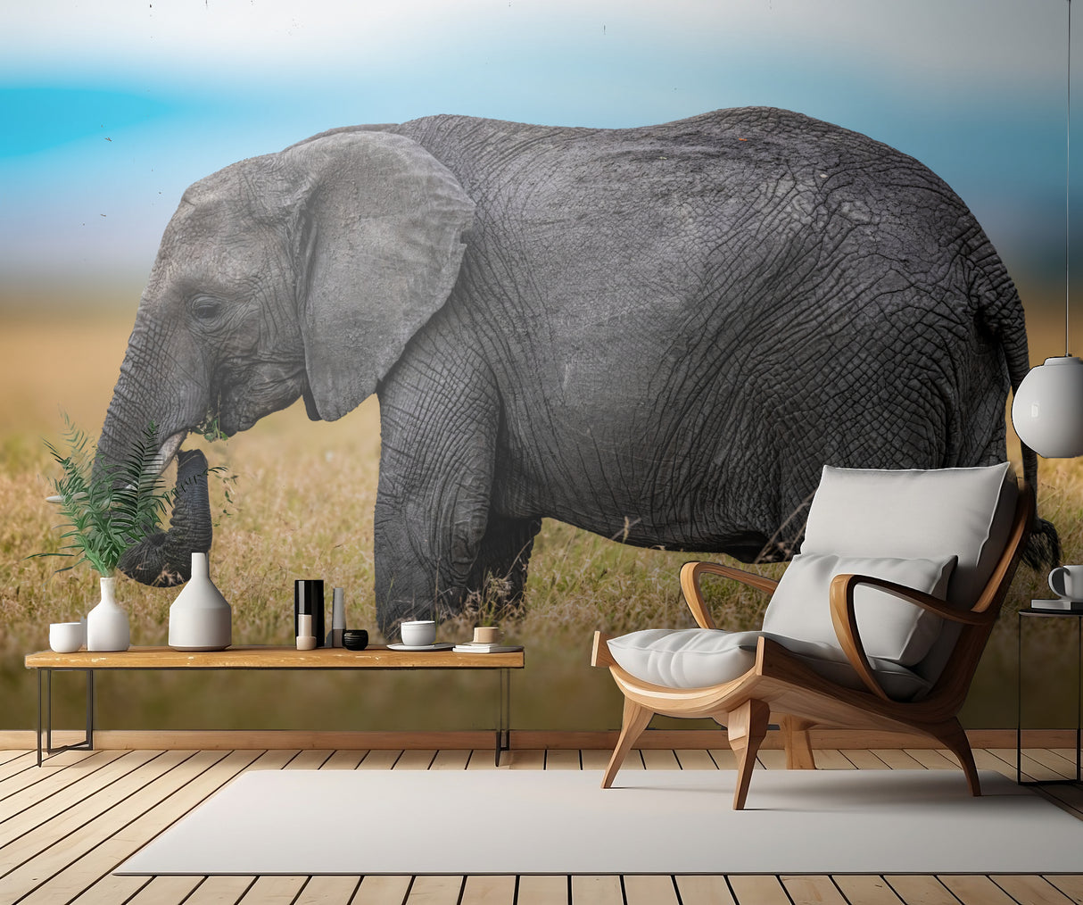Elephant Poster och Canvastavla