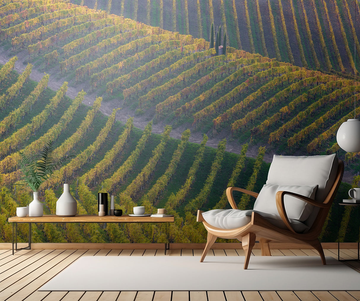 Vineyards Poster och Canvastavla
