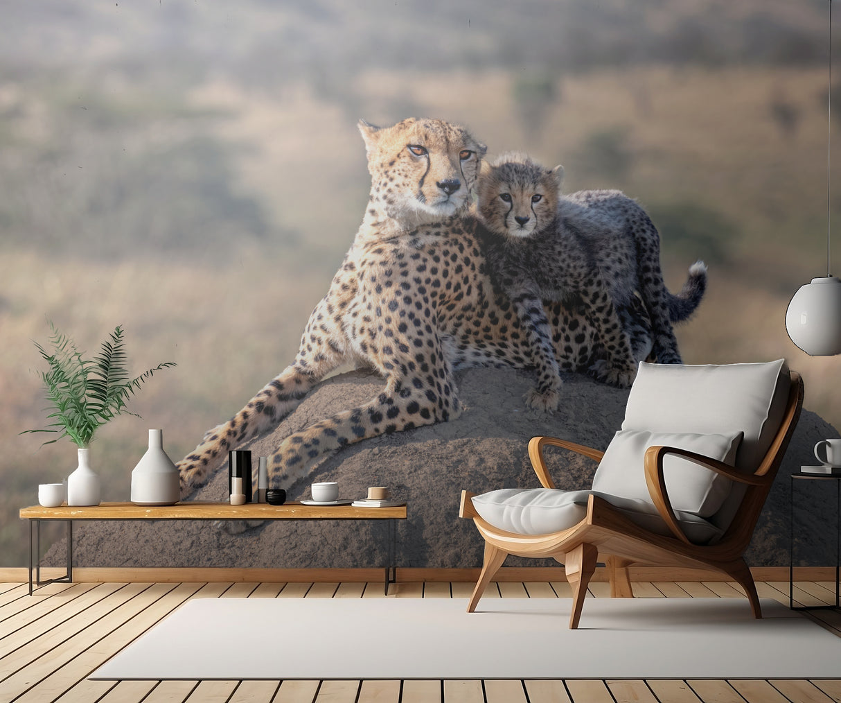 Cheetah and cup! Poster och Canvastavla