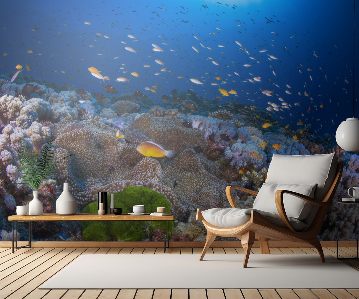 Anemon and Anthias Poster och Canvastavla
