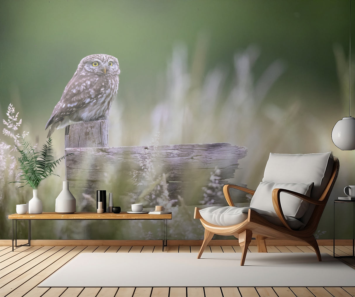 Little owl Poster och Canvastavla