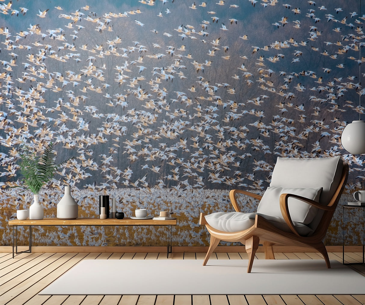 Snow Goose Migration Poster och Canvastavla
