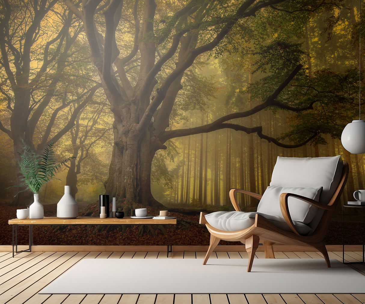Old tree...... Poster och Canvastavla