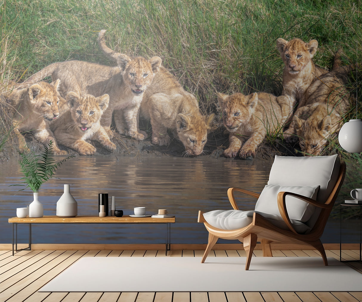 Kitten day care Poster och Canvastavla