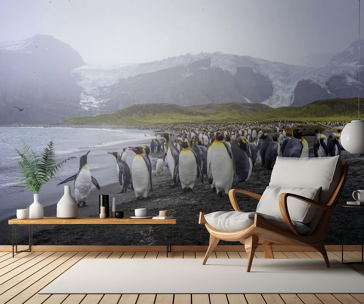 The King Penguins‘ Habitat in South Georgia Island Poster och Canvastavla